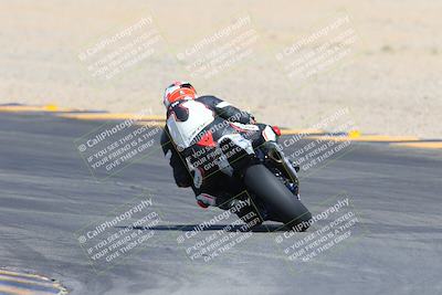 media/Mar-10-2024-SoCal Trackdays (Sun) [[6228d7c590]]/9-Turn 8 Backside (1150am)/